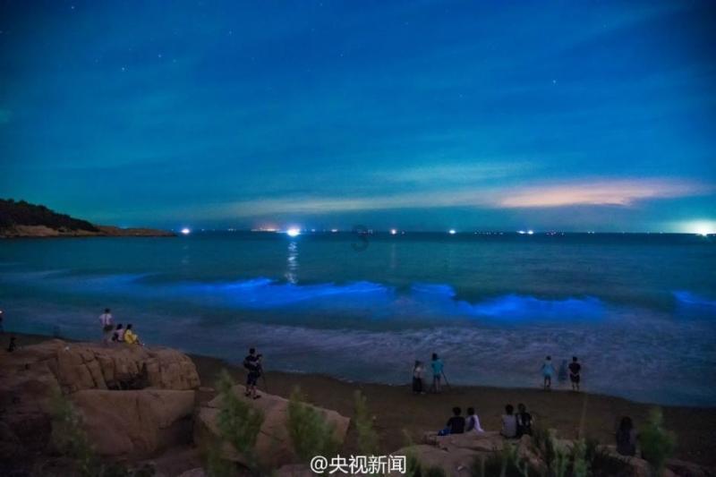 寻找神秘黄金