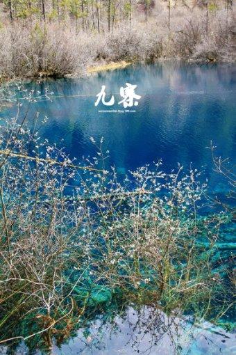 《祈今朝》:全剧最深情的人来了,并非男主今朝,而是另有其人