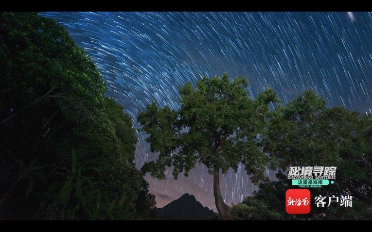 DO：拜仁最新报价1500万欧求购特里皮尔，再次被纽卡拒绝