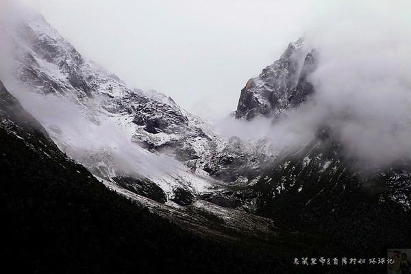是否支持森保一选人用人?日本网友投票:85%球迷不支持