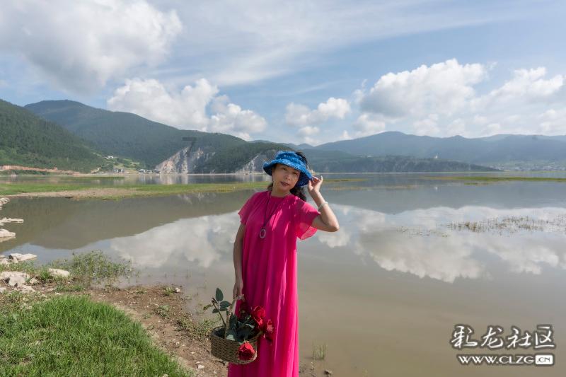 组装机械警暴龙2