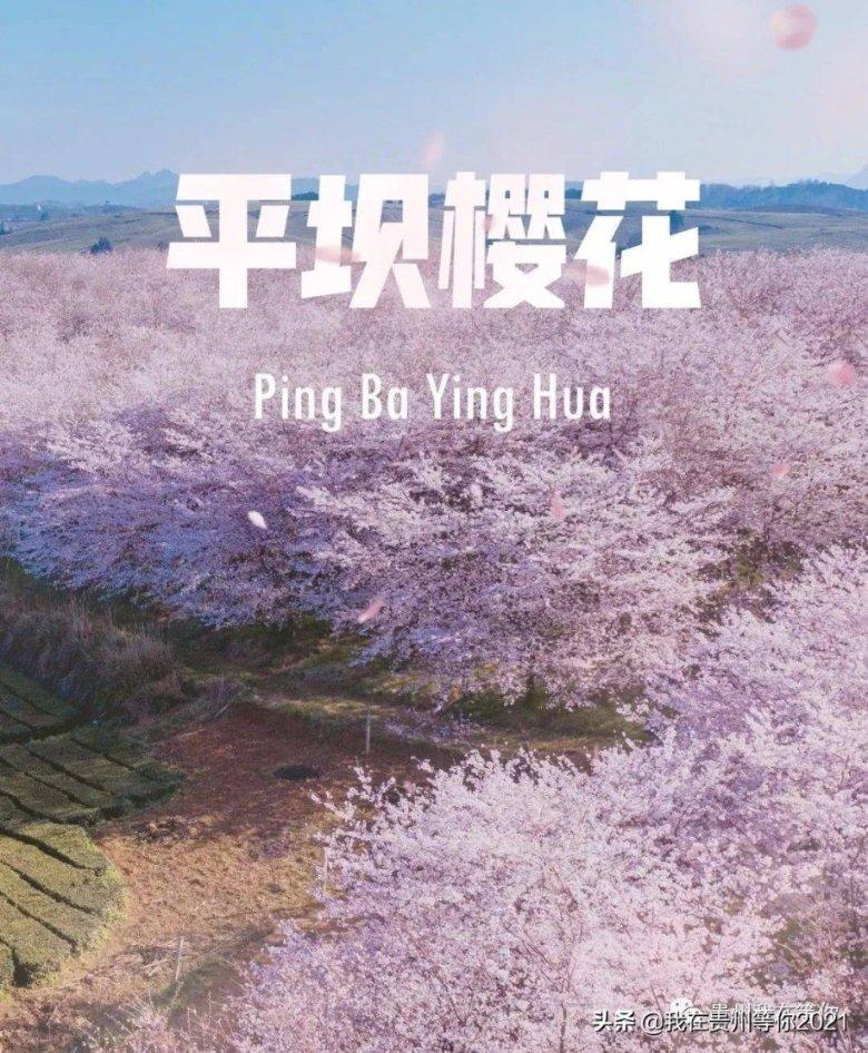 燃烧吧大脑免广告最新版