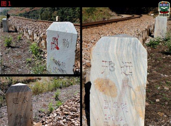 燃烧吧大脑免广告最新版