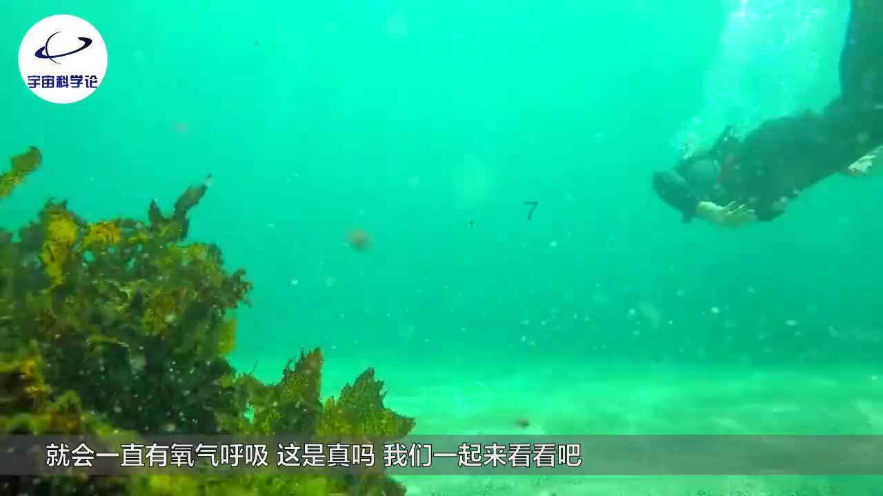 小猫钓鱼开船版最新版下载