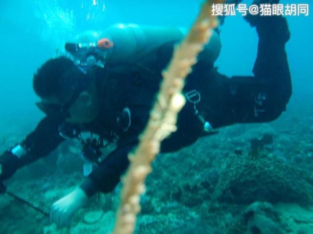 琳娜整理房间