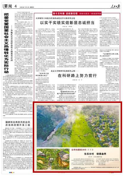 植物大战僵尸11