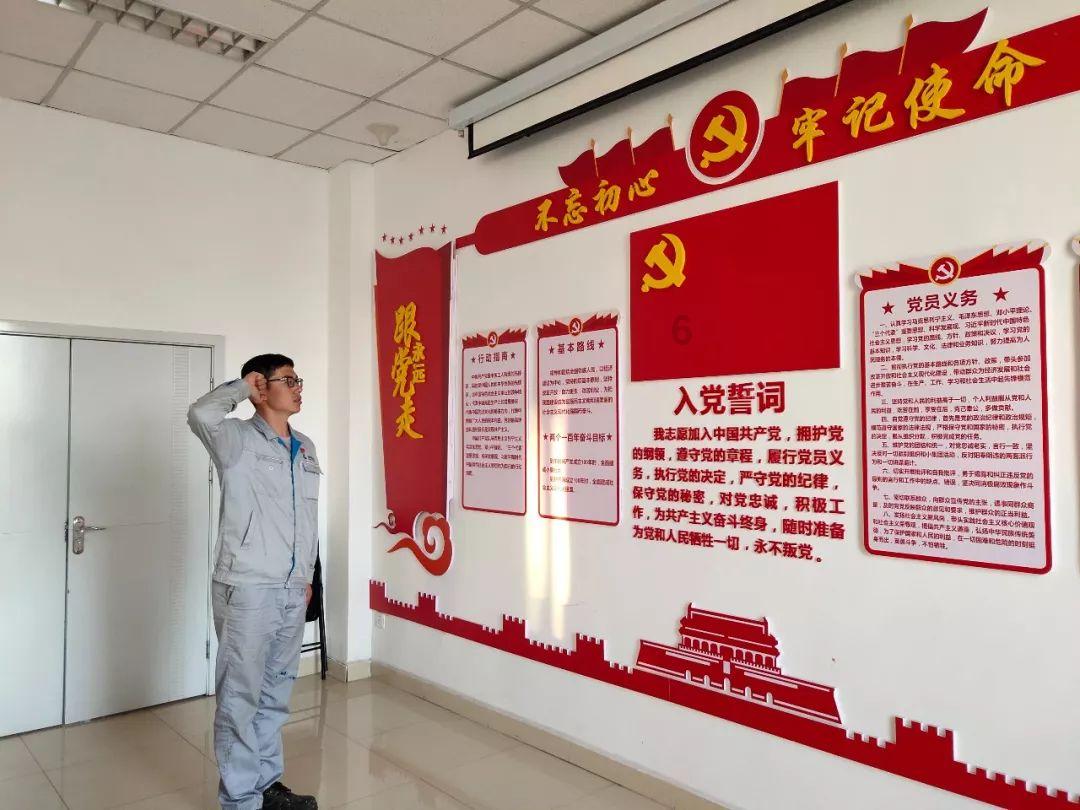 奥利维亚收养猫