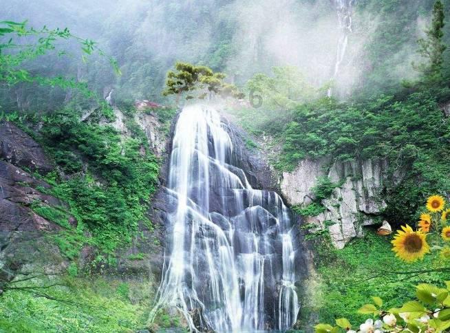 如何发海参最好方法 正确游戏画面