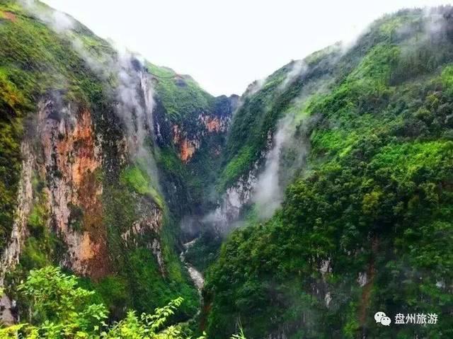 海盗的荣誉