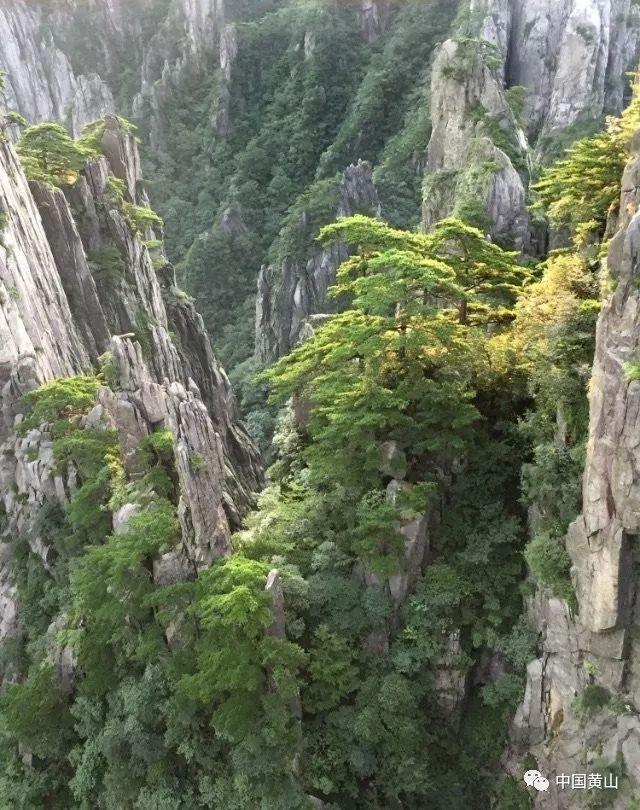 以军称从哈马斯手中缴获大量中国造武器,美以大肆炒作,抹黑开始