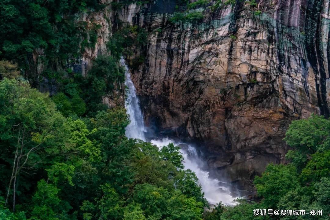 上海阿婆草丛捡到一黑人男婴,将其收留抚养20年,如今怎样