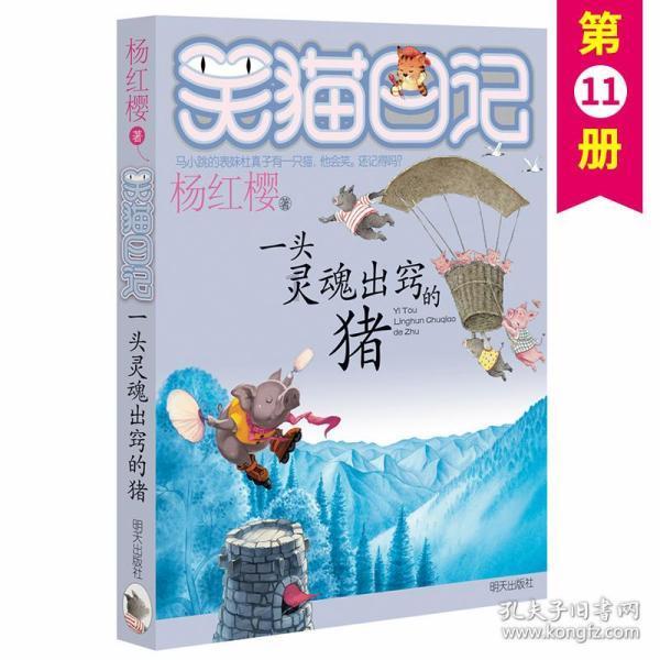 单人卡丁车和双人卡丁车的区别？