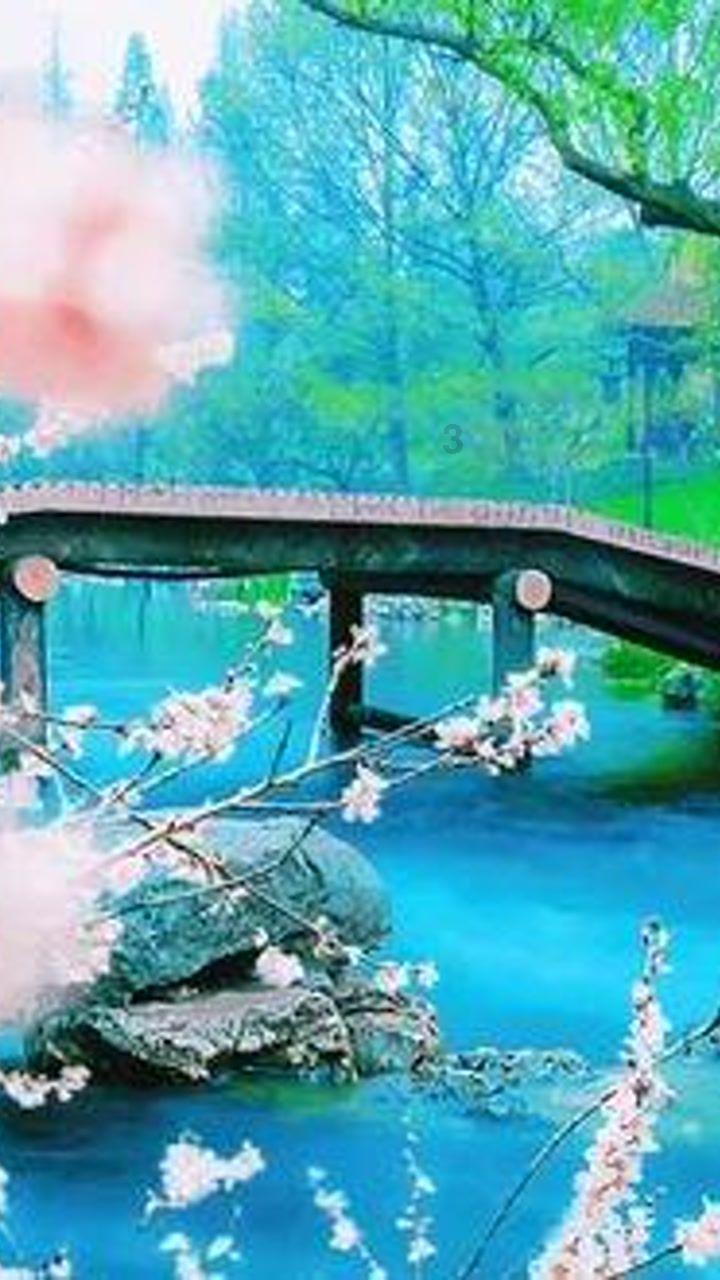 理财专员